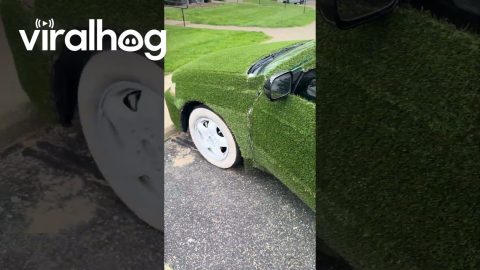 Car Covered With Grass || ViralHog