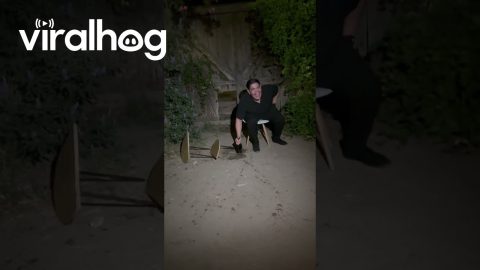 Champagne-Opening Birthday Trend Gone Wrong || ViralHog