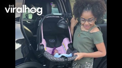 Girl Dad Reacts to Daughter's Grocery Trip With Her Baby Doll || ViralHog