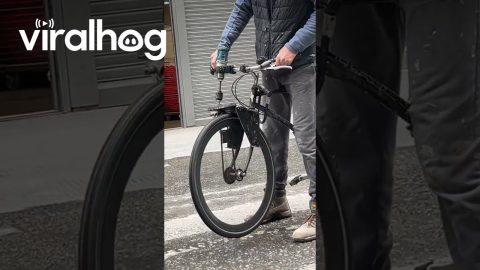 Drill Powers Bicycle || ViralHog