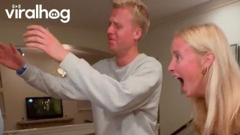 Telling My Siblings I'm Pregnant on the First Anniversary Our Dad's Passing || ViralHog