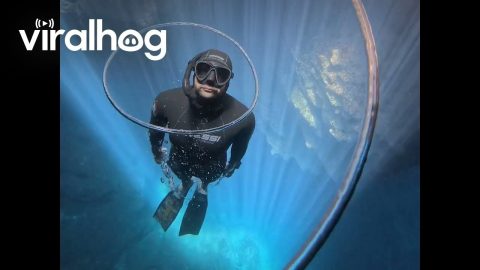 Freediver Swims Through Bubble Rings || ViralHog