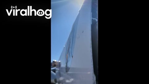How Thick Is the Aluminum on an Airplane || ViralHog