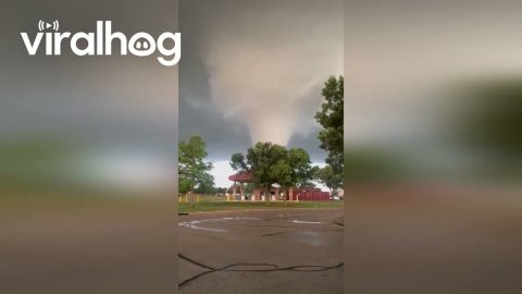 Massive Tornado Touches Down in Enid Oklahoma || ViralHog