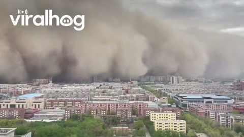 City Swallowed by Massive Sandstorm as Towering Wall of Dust Advances || ViralHog