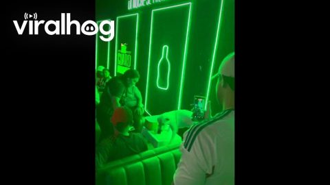 Dog Drinks From Cooler In Club || ViralHog