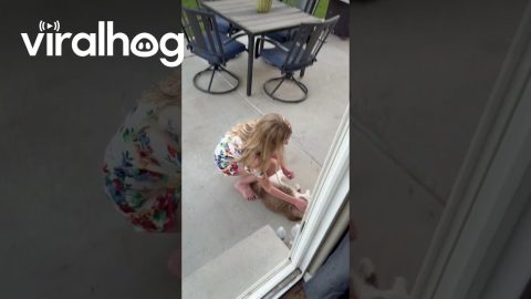 Cat Comes Running Every Time Her Name Is Called || ViralHog