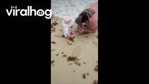 That's Enough Ocean for Today || ViralHog