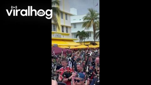 Tartan parade in Miami || ViralHog
