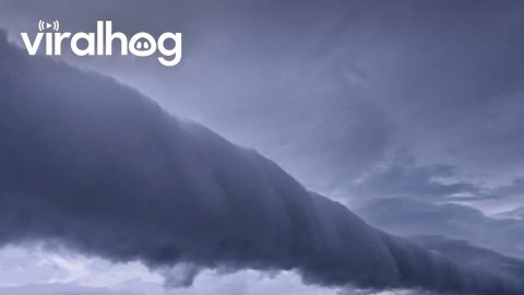 Rare Roll Cloud Formation in La Grange, Texas || ViralHog
