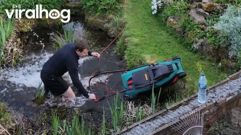 Accidental Plunge During Gardening Timelapse || ViralHog