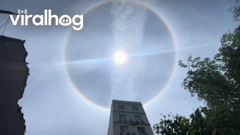 Rainbow Halo Surrounds Sun || ViralHog