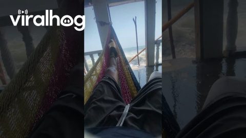 Big Wave Soaks Seashore Relaxation || ViralHog