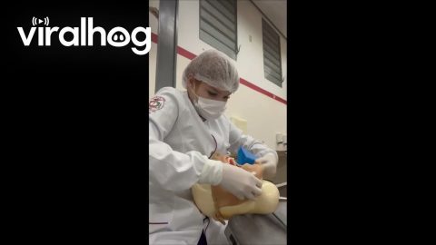 Just Your Average Teeth Cleaning Experience || ViralHog