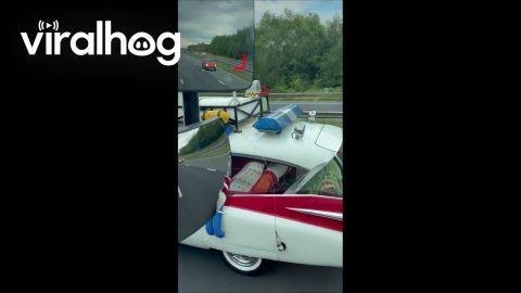 Ghost Busters On Tour || ViralHog
