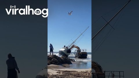Byron Bay Community Helps Free Shipwrecked Boat || ViralHog