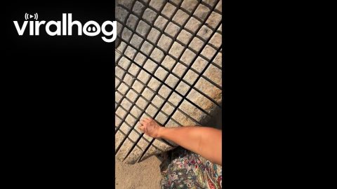 Musical Rock Played With a Rock || ViralHog