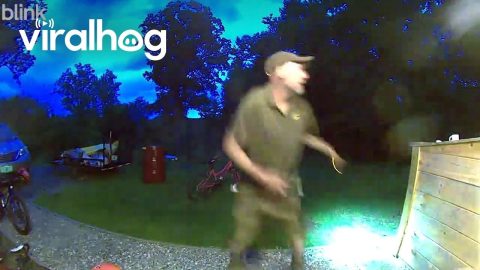 It’s a Good Thing UPS Uniforms are Brown || ViralHog