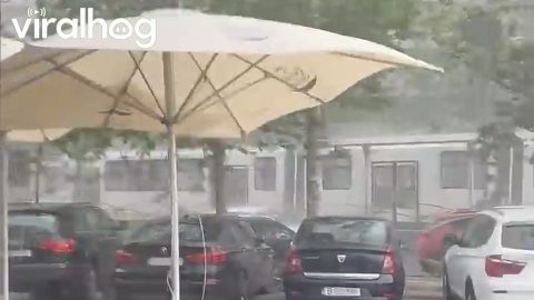 Stormy Winds Push Umbrella Into Car || ViralHog
