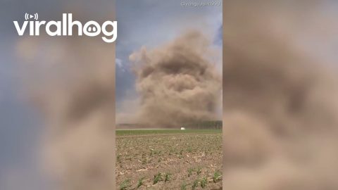 Massive Dust-Wrapped Tornado Sweeps Across Farmland in Northeast China || ViralHog