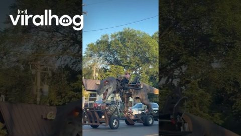 T-Rex Vehicle Driving Around Minneapolis || ViralHog