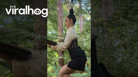 The Art of Multitasking || ViralHog