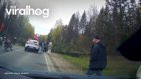 Tree Falls Right In Front of Moving Vehicle || ViralHog