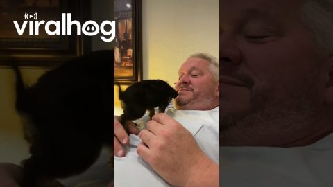 Puppy Pauses Playtime For Potty Break || ViralHog