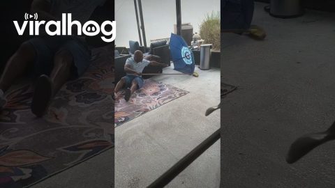 "Snake Wrangler" Fail || ViralHog