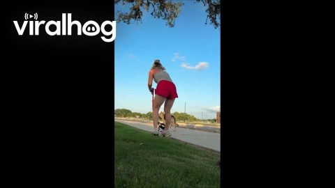 Dog Takes Their Opportunity to Escape || ViralHog