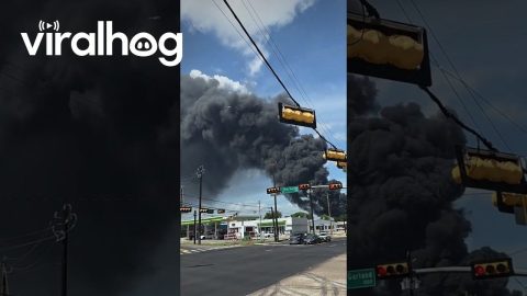 Houston Recycling Plant Fire || ViralHog