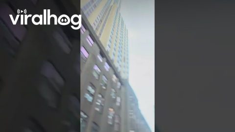England Fans in NYC Celebrate Advancing to the Semifinals || ViralHog