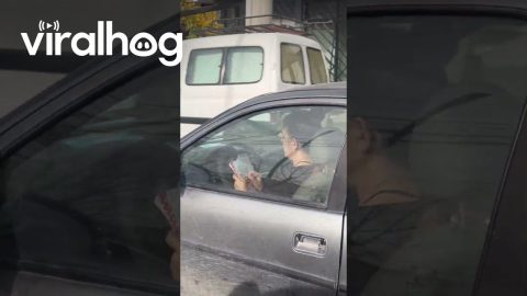 Woman Writing in a Notebook While Driving || ViralHog