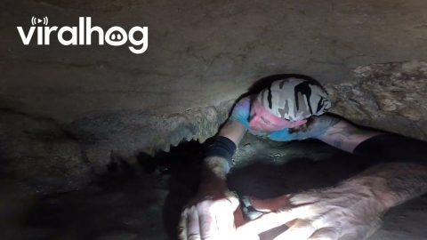 Spelunker Reaches His Limit in Sims Cave || ViralHog