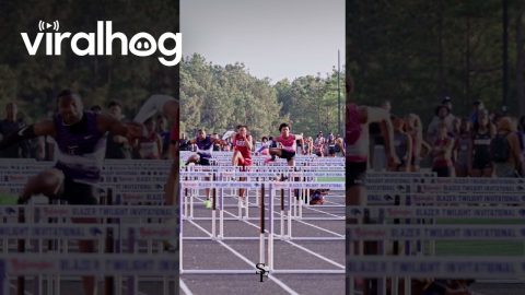 110M Hurdles Chaos || ViralHog