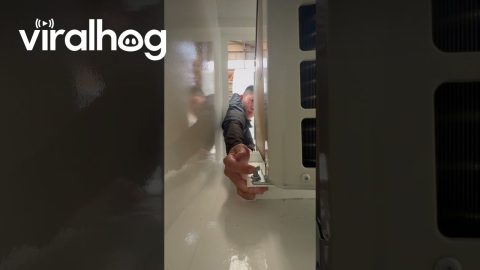 Great Installation! There's Only One problem... || ViralHog