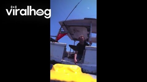 Coast Guard Performs Emergency Airlift 92 Miles Offshore || ViralHog