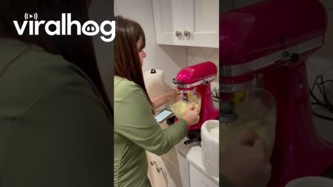Kitchen Mixer Hair Snag || ViralHog