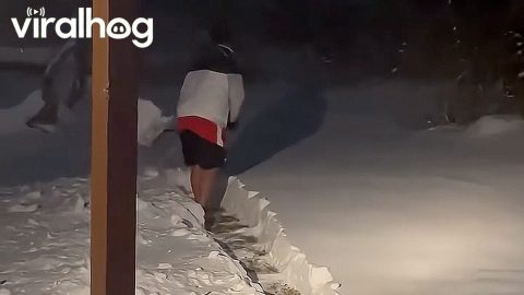 Dedicated Dog Dad Shovels Bathroom Spot In Snow || ViralHog