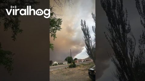 Cottonwood Fire in Elsinore, Utah || ViralHog