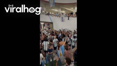 Argentine Fans Erupt at Arrowhead Stadium After Messi Hat-Trick Downs Algeria || ViralHog
