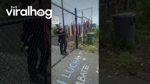 Security Removes Father's Day Ties at Detention Facility || ViralHog