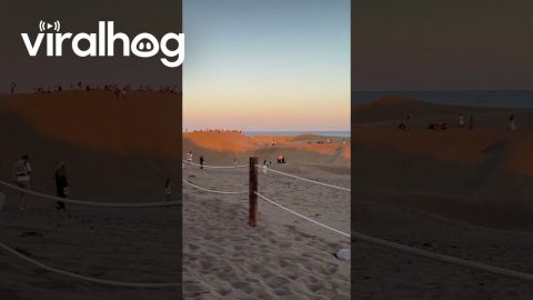 Destroying the Dunes of Maspalomas || ViralHog