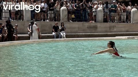 Tourist Swims Through Trevi Fountain || ViralHog