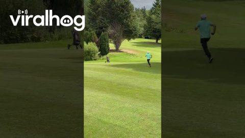 Runaway Golf Trolley || ViralHog