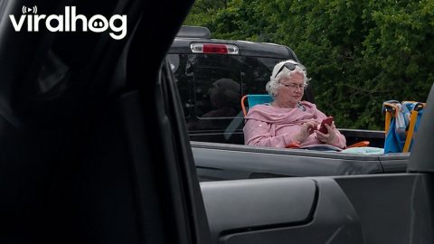 Camping Woman Rides Comfortably In Truck Bed || ViralHog