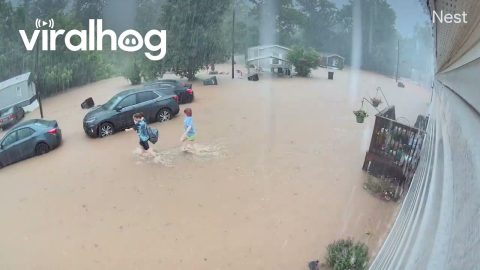 Hardin County, Kentucky Flooding Disaster || ViralHog