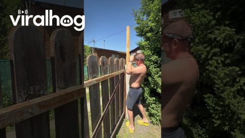 Squirrel Rescue || ViralHog