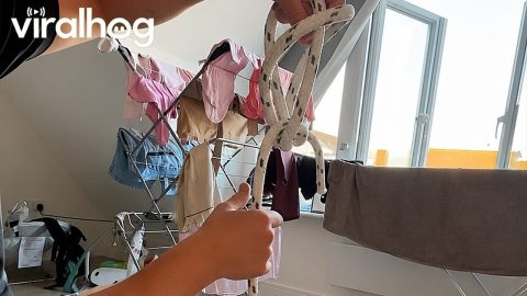 Fiancé Shows Off Flying Bowline Knot Skill || ViralHog