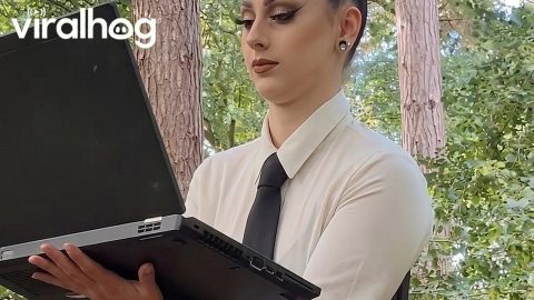 The Art of Multitasking || ViralHog